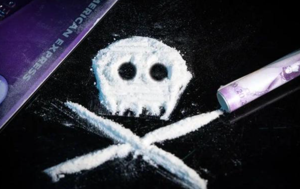 联合国毒品与犯罪问题办公室-国际刑警组织全球峰会动员行动，打击欺诈激增 维也纳，2026年3月17日